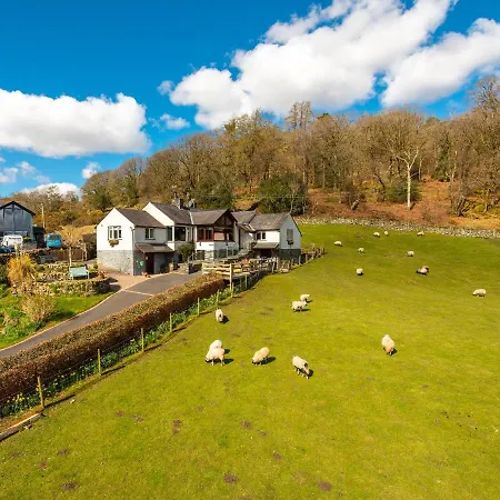 Browside